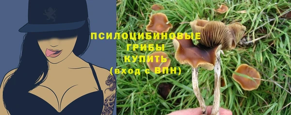круглые Бронницы