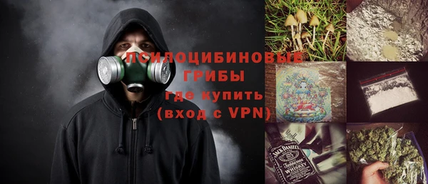 не бодяженный Бородино