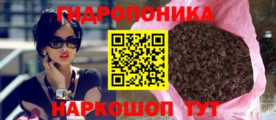 винт Дубна