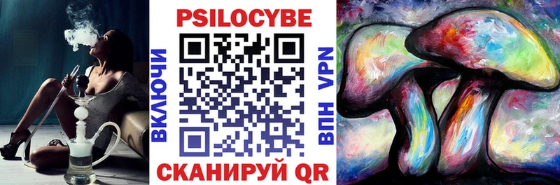 Псилоцибиновые грибы Cubensis  Наро-Фоминск 